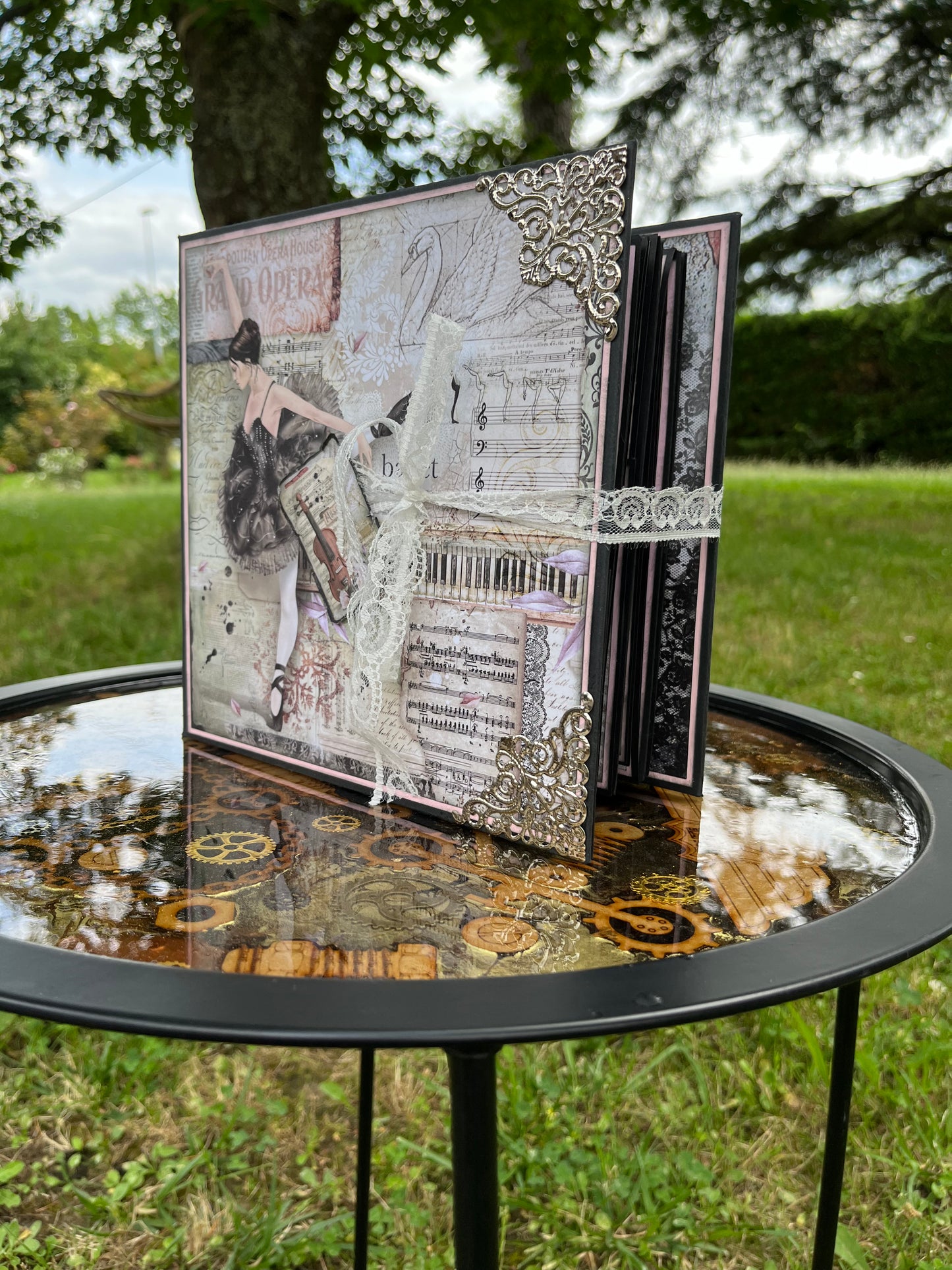 Album photos le cygne noir