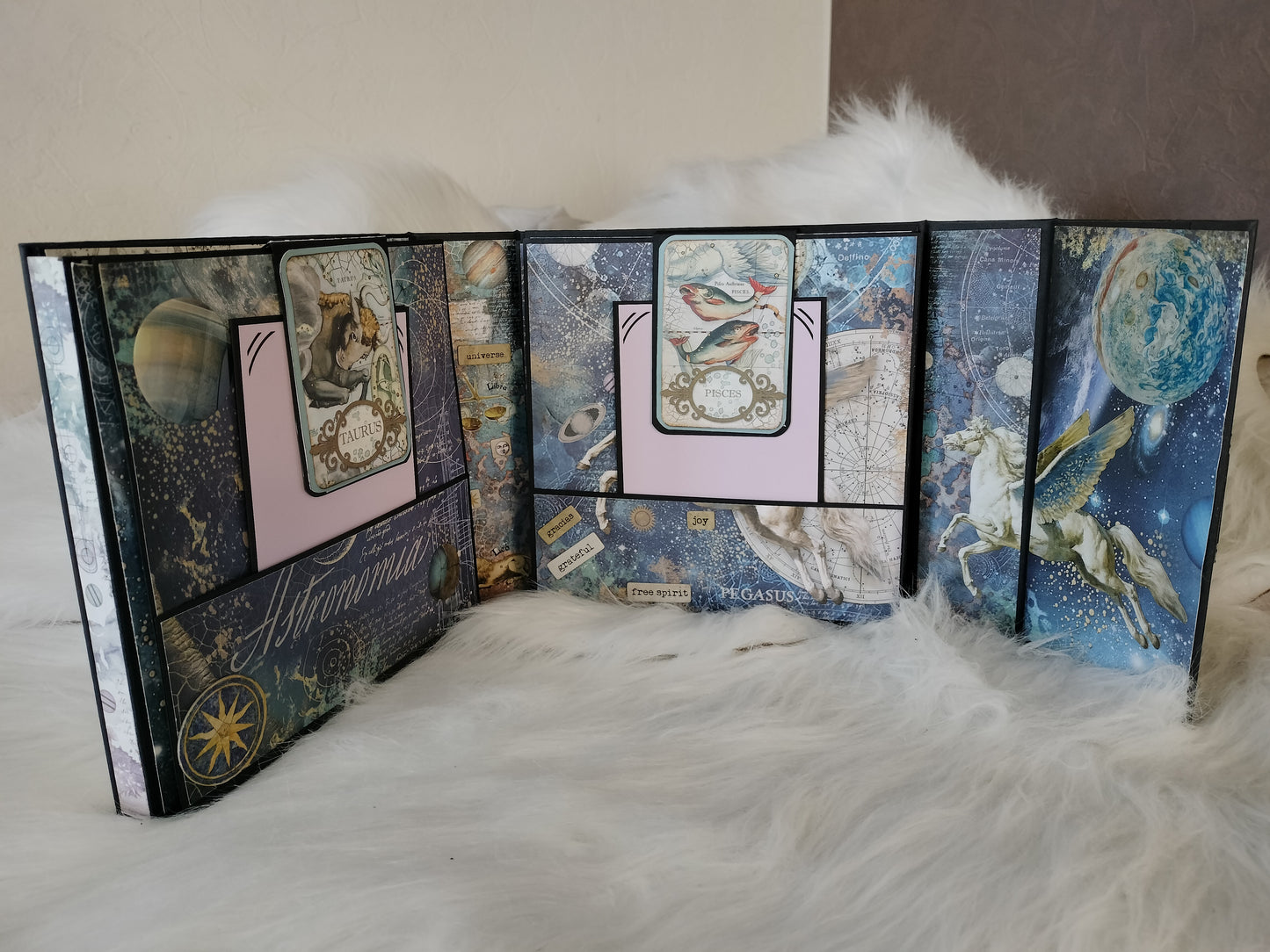 Album photos cosmos follio