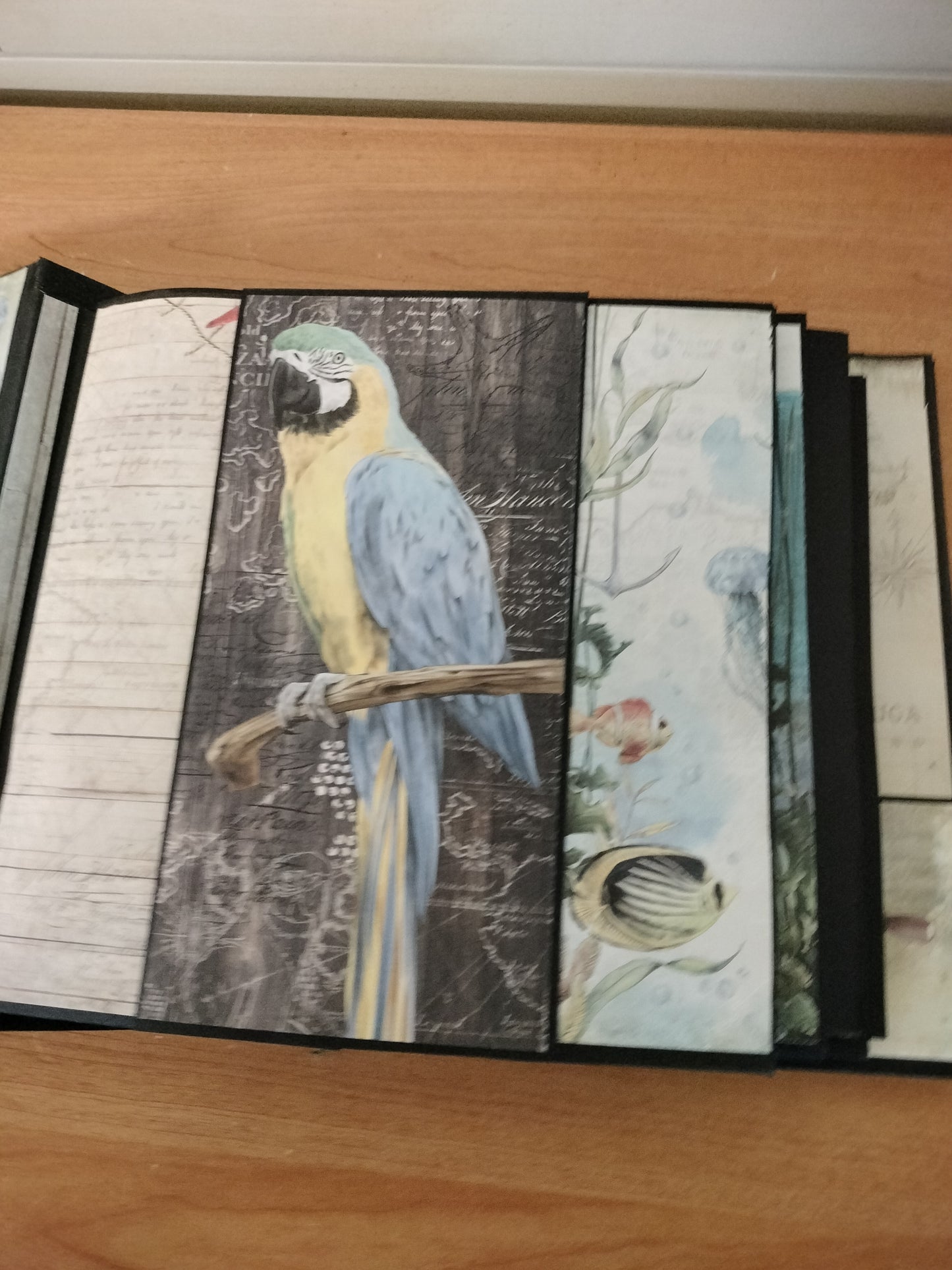 Album photos sirène