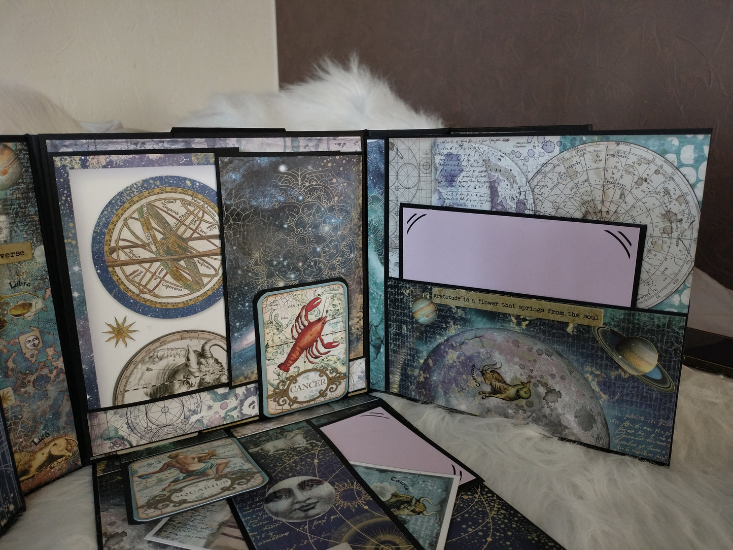 Album photos cosmos follio